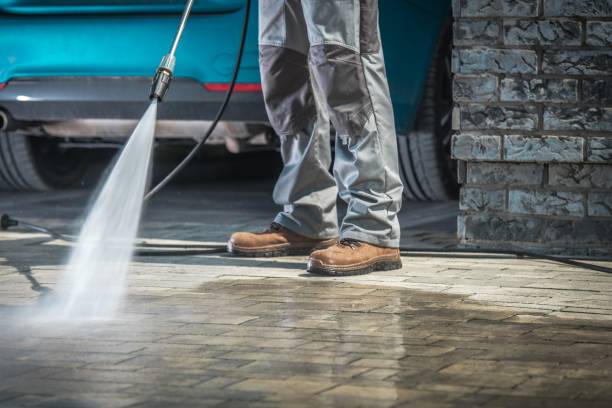 Best Animal Enclosure Cleaning  in Southern View, IL
