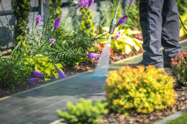 Best Pool Deck Cleaning  in Southern View, IL