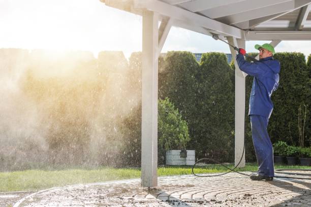 Best Graffiti Removal  in Southern View, IL
